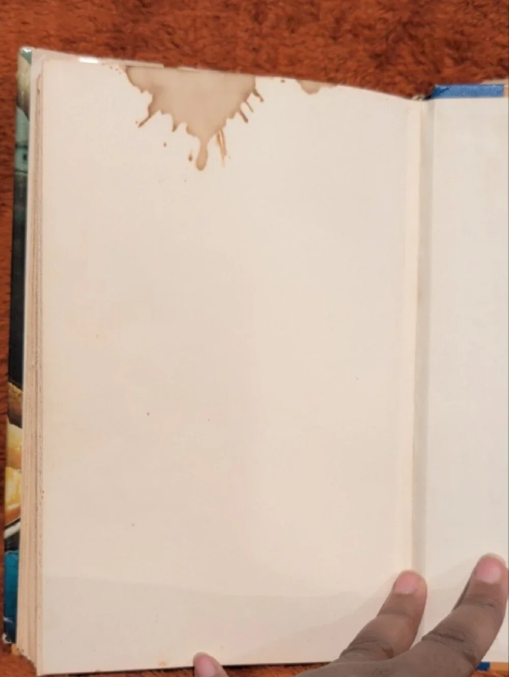 Doubleday & Company, Inc classic cookbook